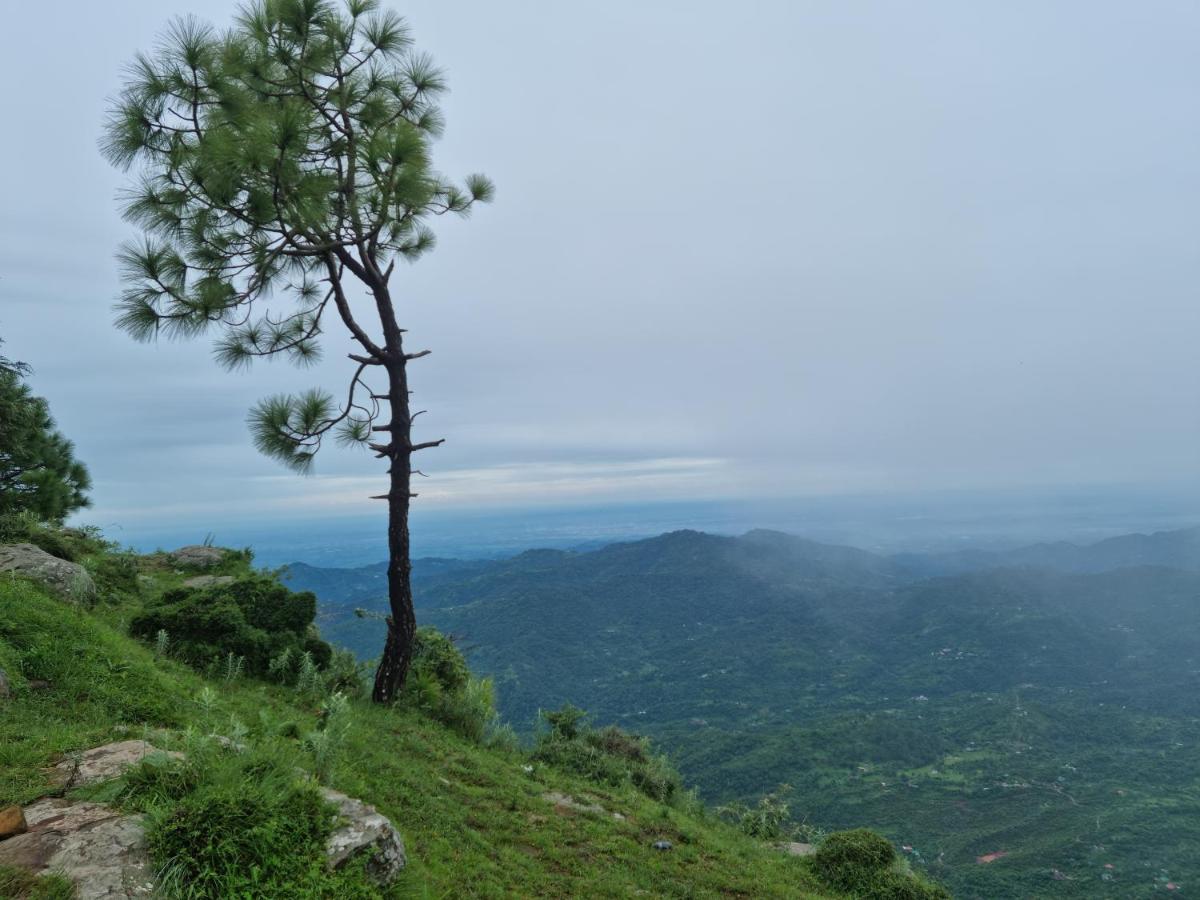 Vista Cottage โซลัน ภายนอก รูปภาพ